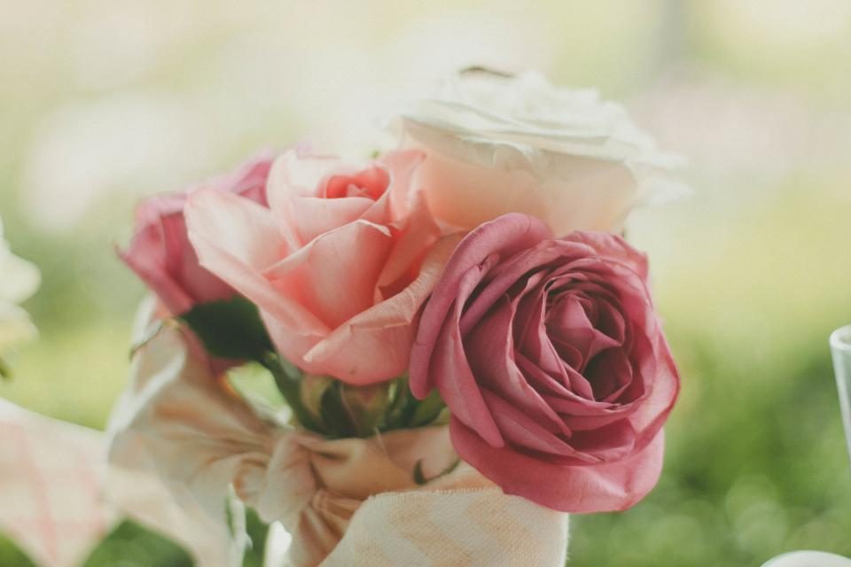Roses roses pâles évoquant la douceur poudrée du parfum Yara